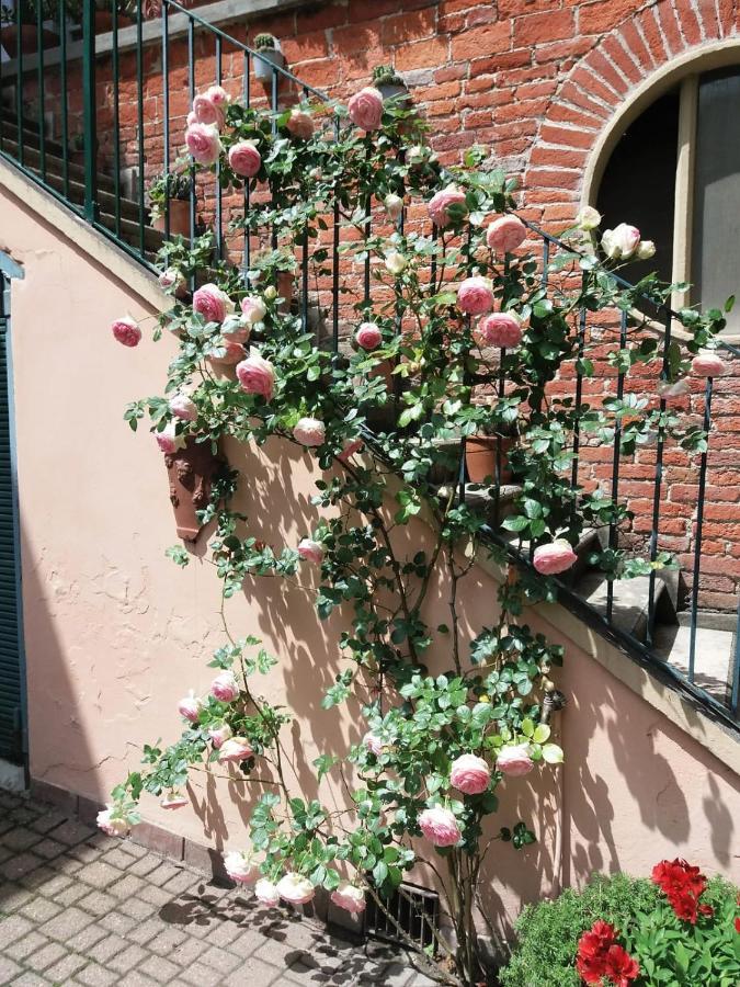 La Terrazza Sul Monferrato Apartment Ozzano Monferrato Exterior foto