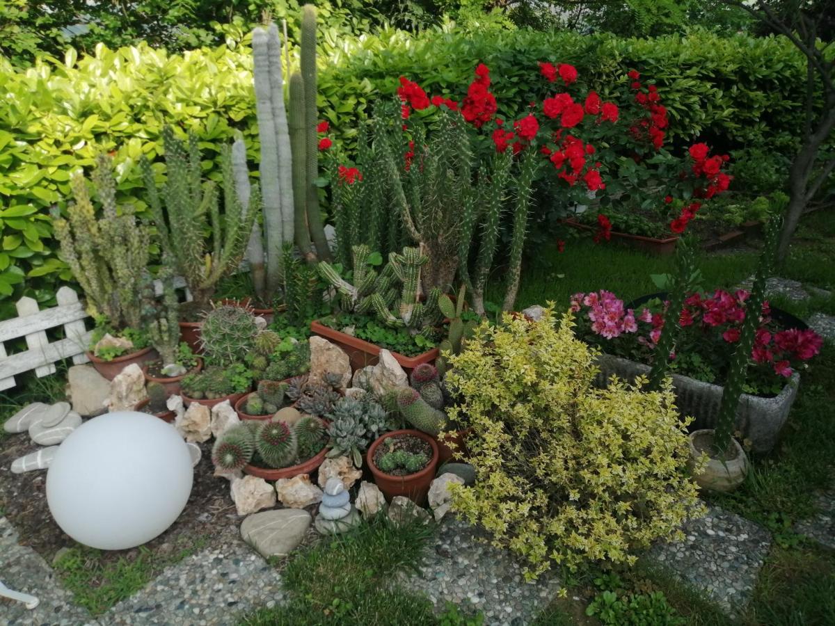 La Terrazza Sul Monferrato Apartment Ozzano Monferrato Exterior foto